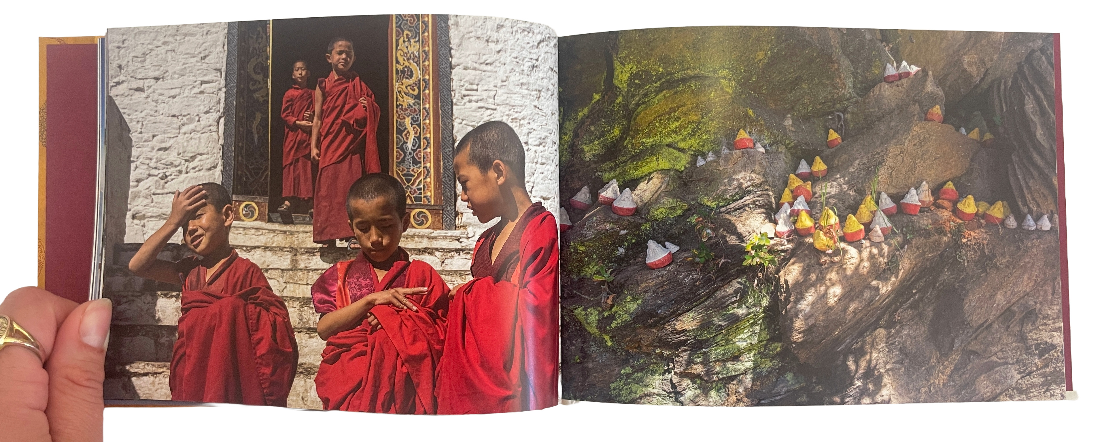 THE MONK AND THE TIGER. Postcards from Bhutan