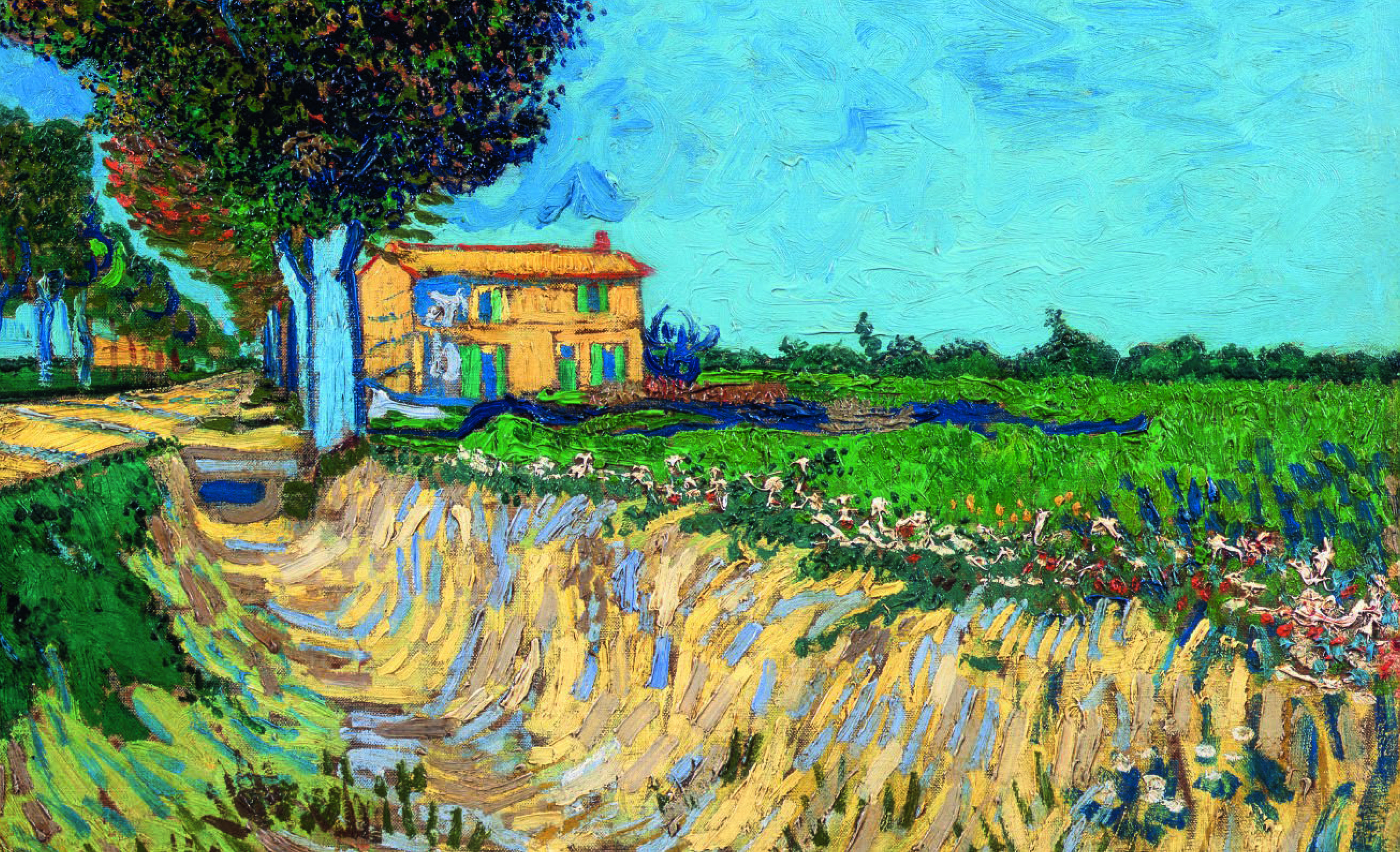 MAKING VAN GOGH