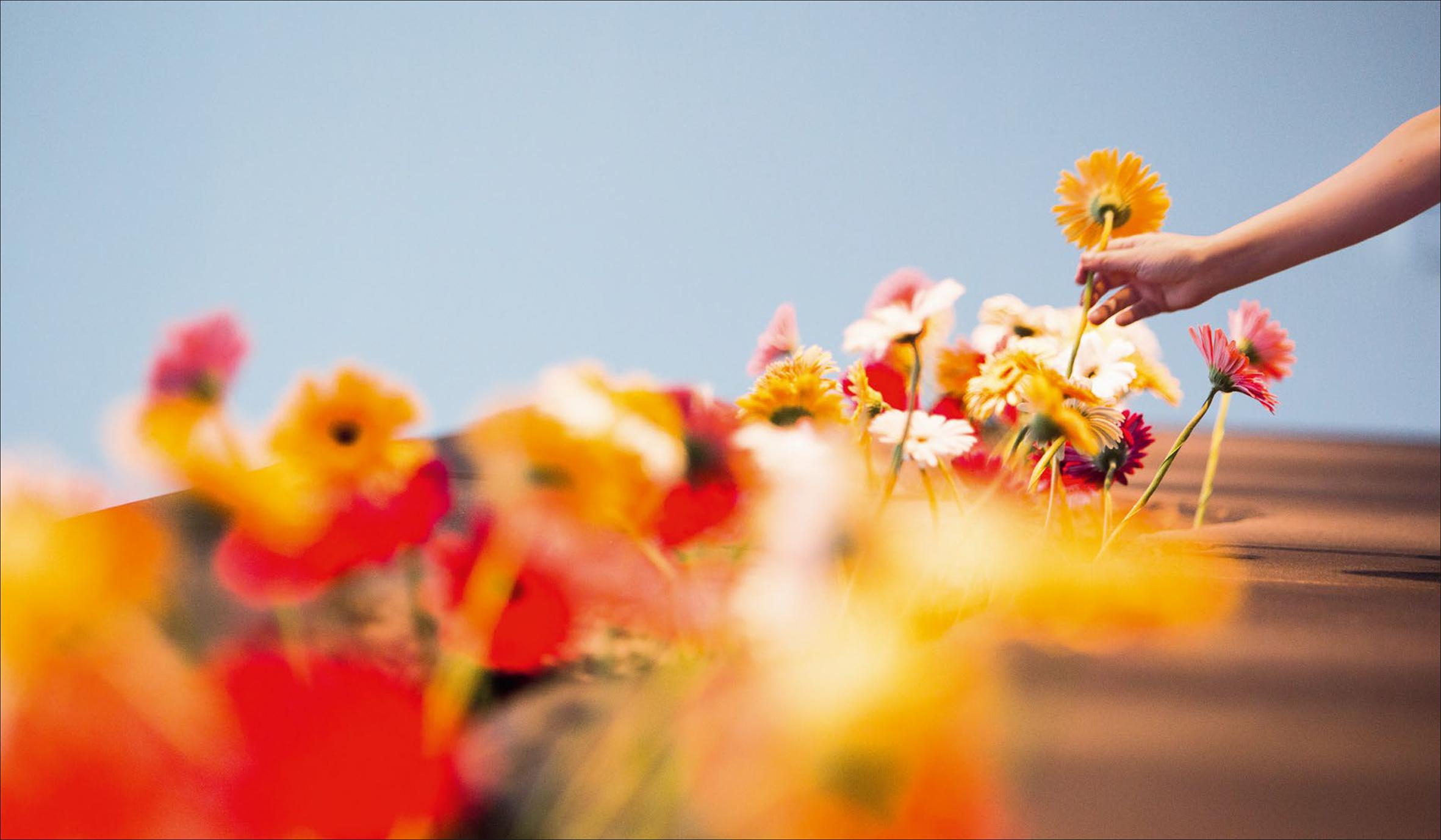 Flowers!