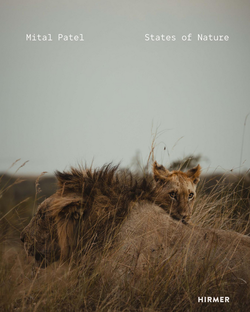 Mital Patel