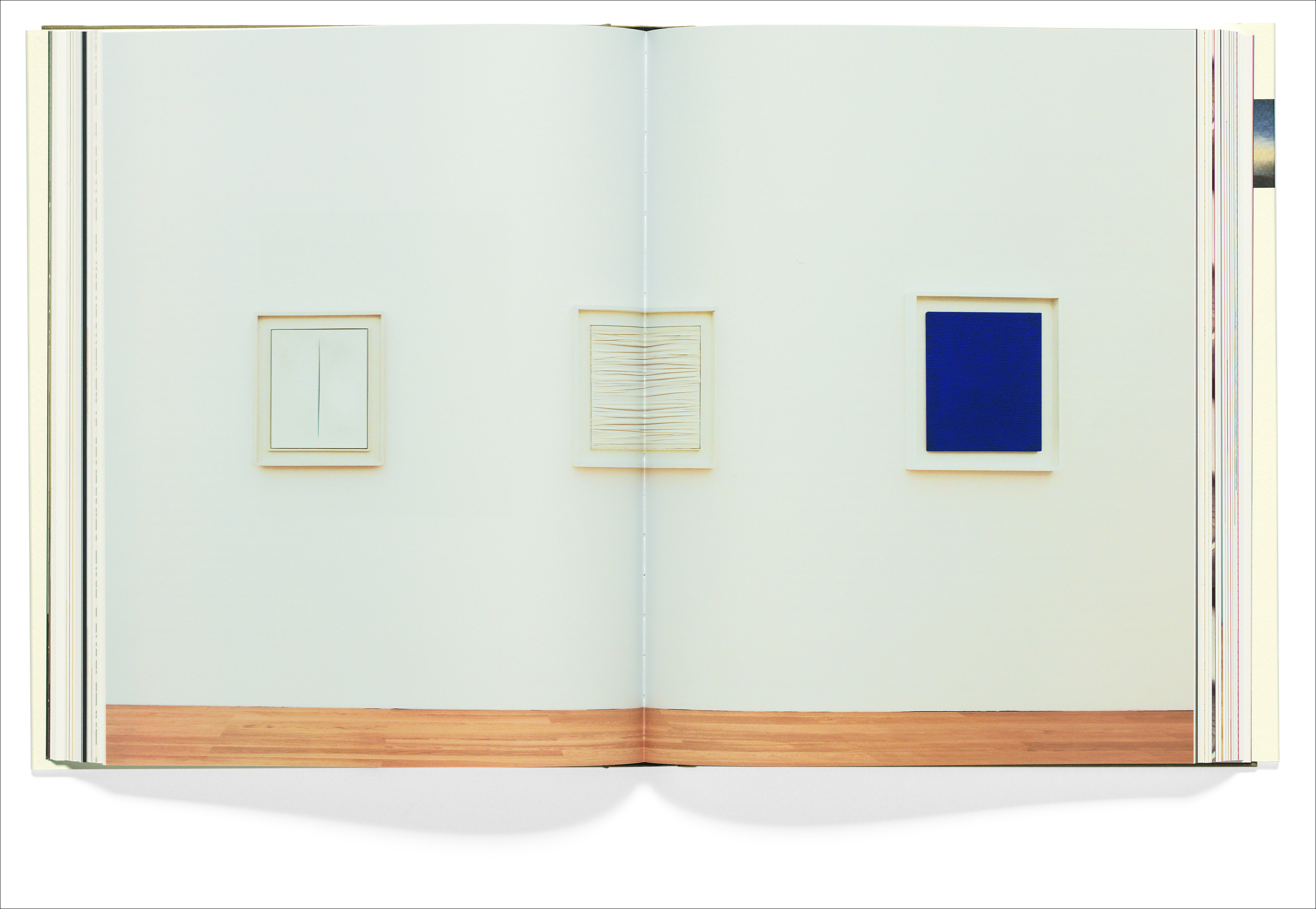 Hilti Art Foundation. The Collection