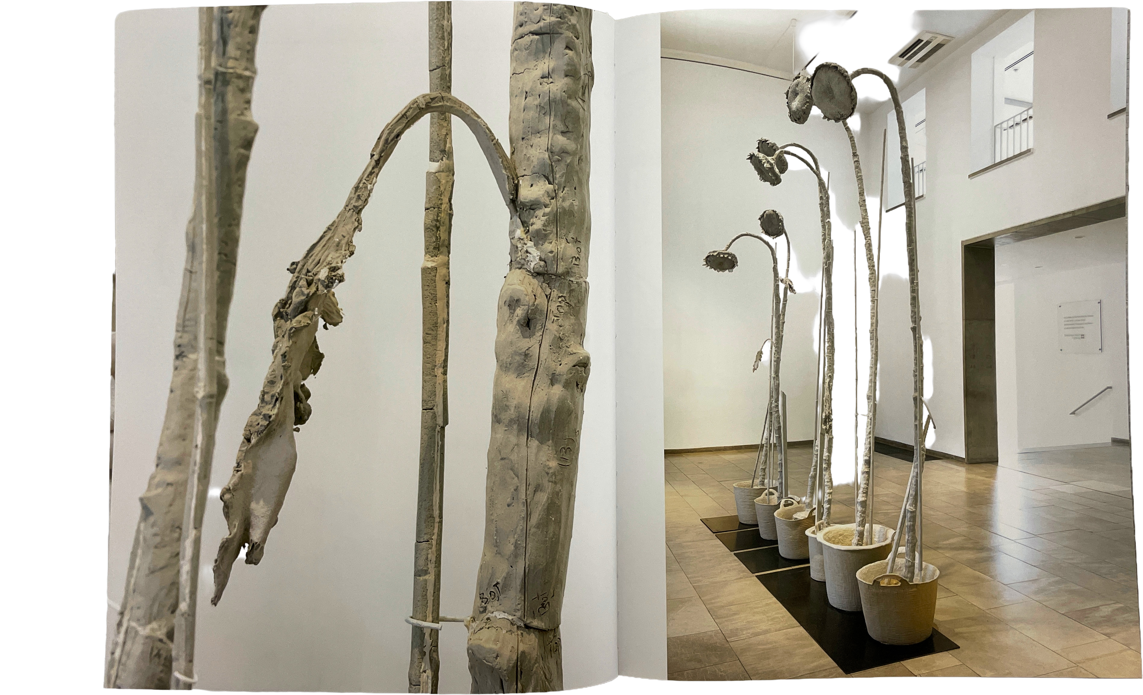 Daphne Wright - Memory and Presence