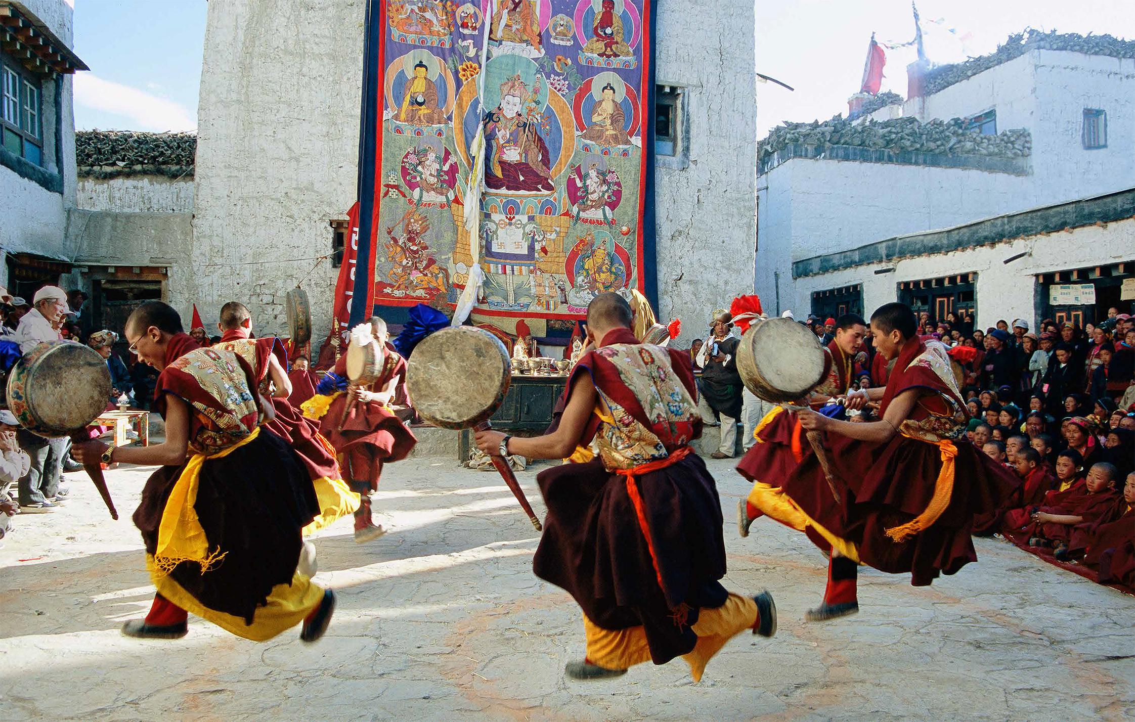 Tibetan Mustang