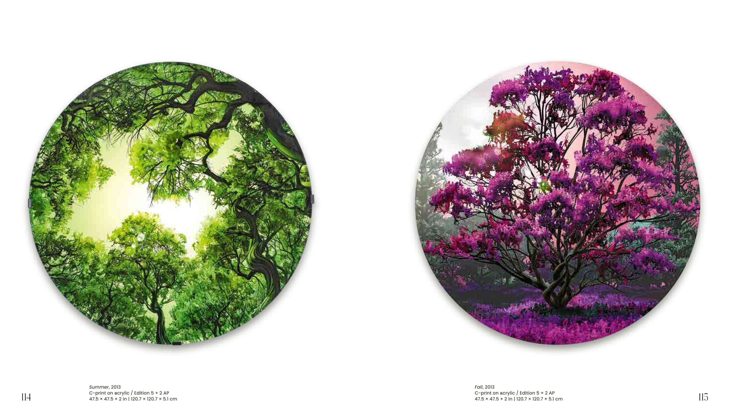 JESSICA LICHTENSTEIN
Rewilding
