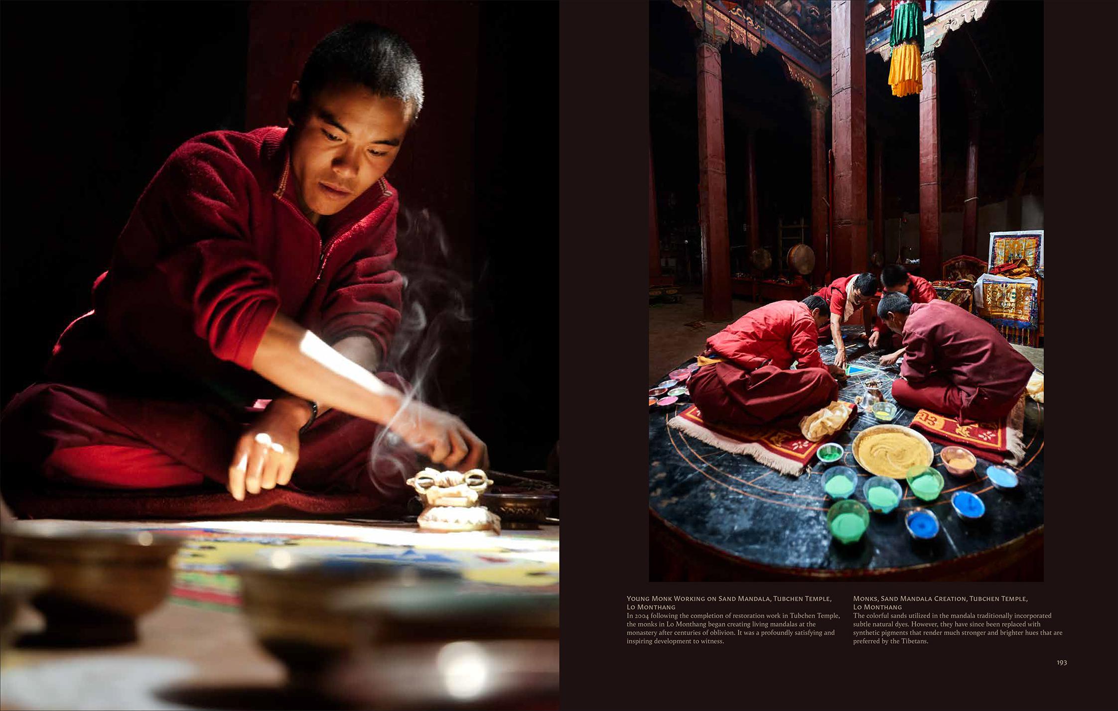 Tibetan Mustang