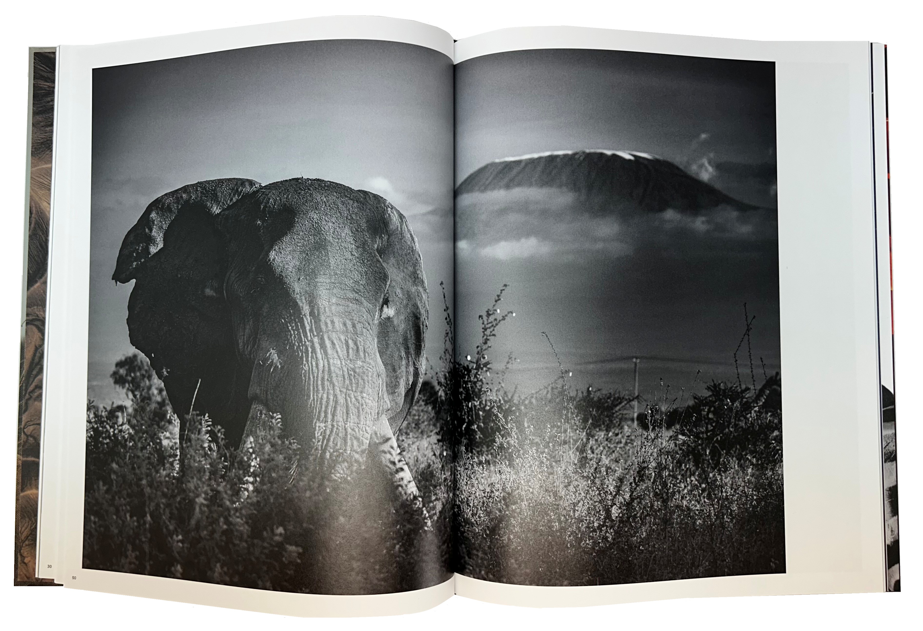Mital Patel - States of Nature