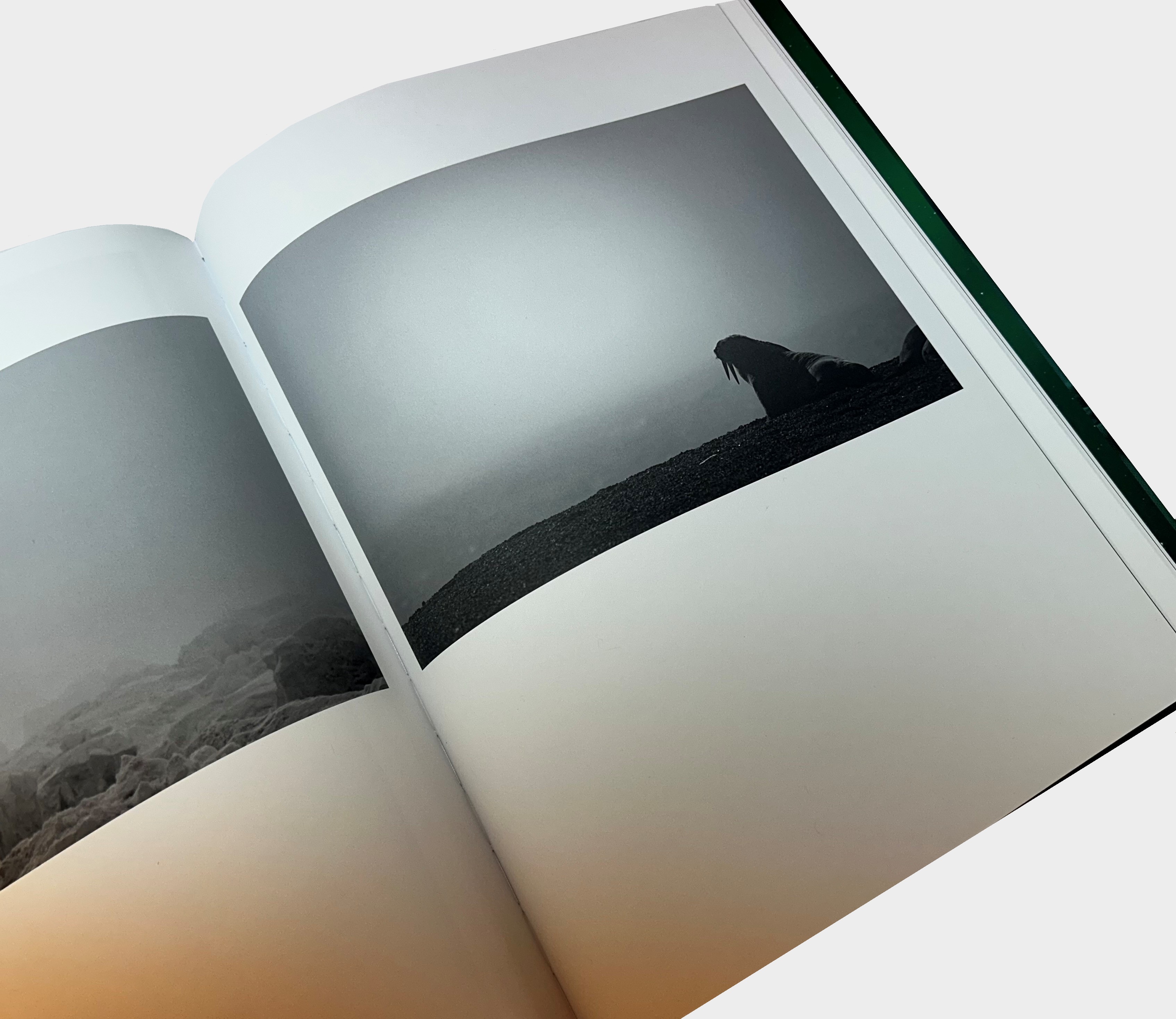 Mital Patel - States of Nature