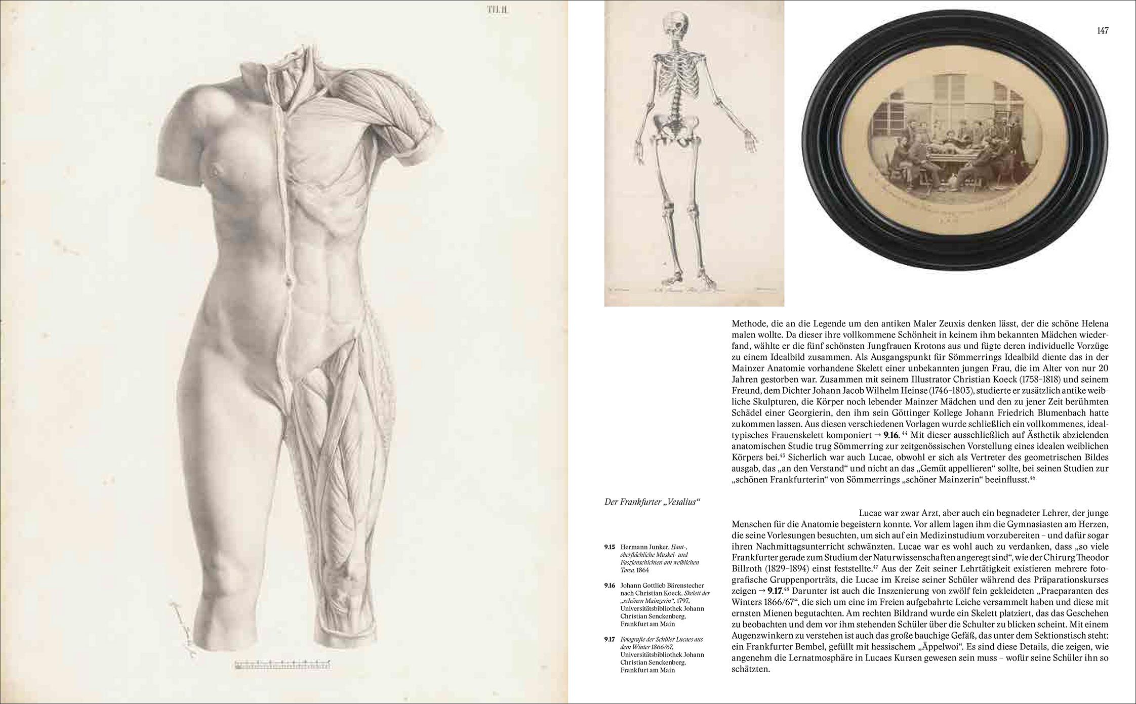 Die Porträtsammlung der Dr. Senckenbergischen Stiftung
