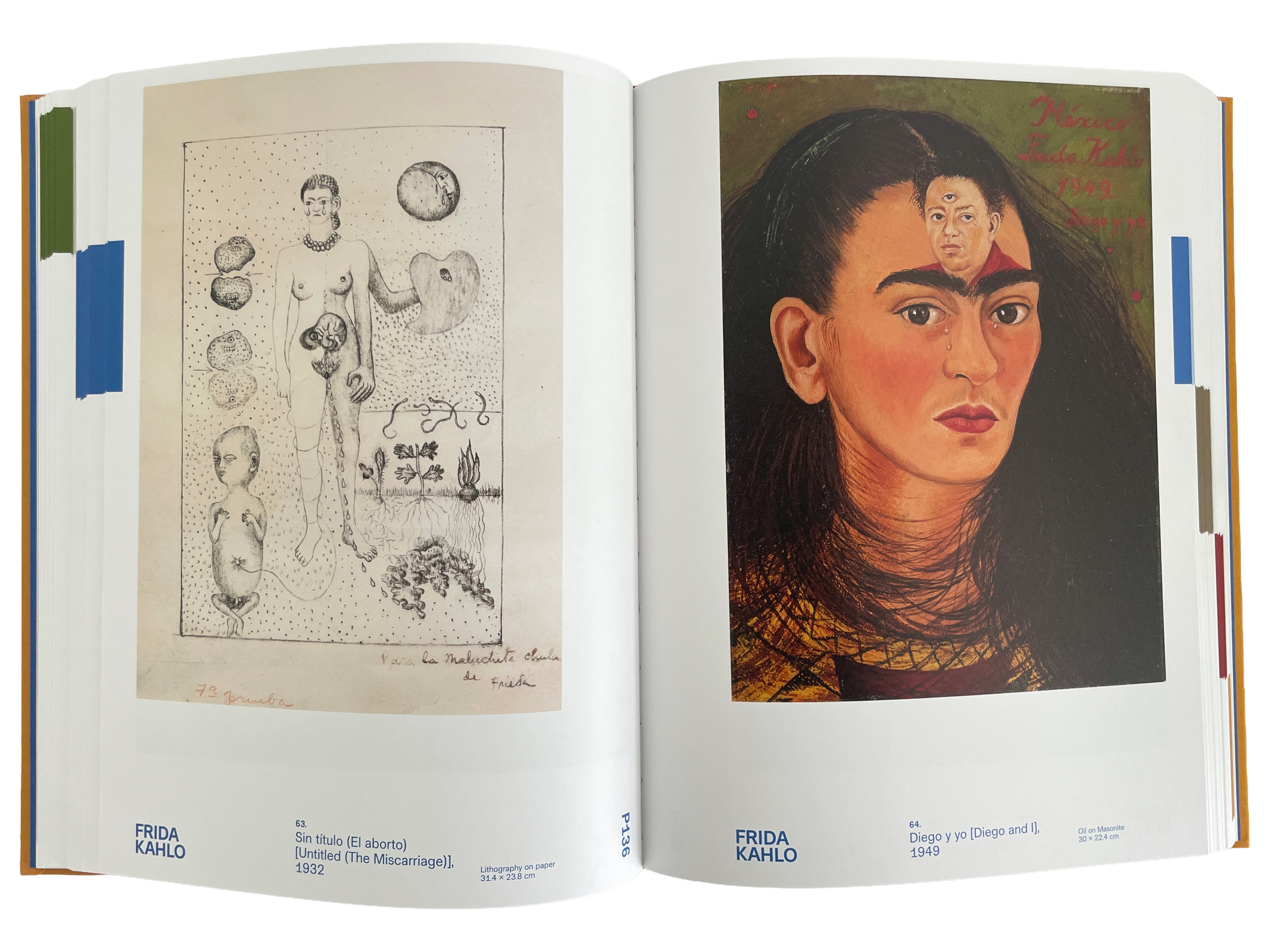 Art from Latin America: Malba–Costantini Collection