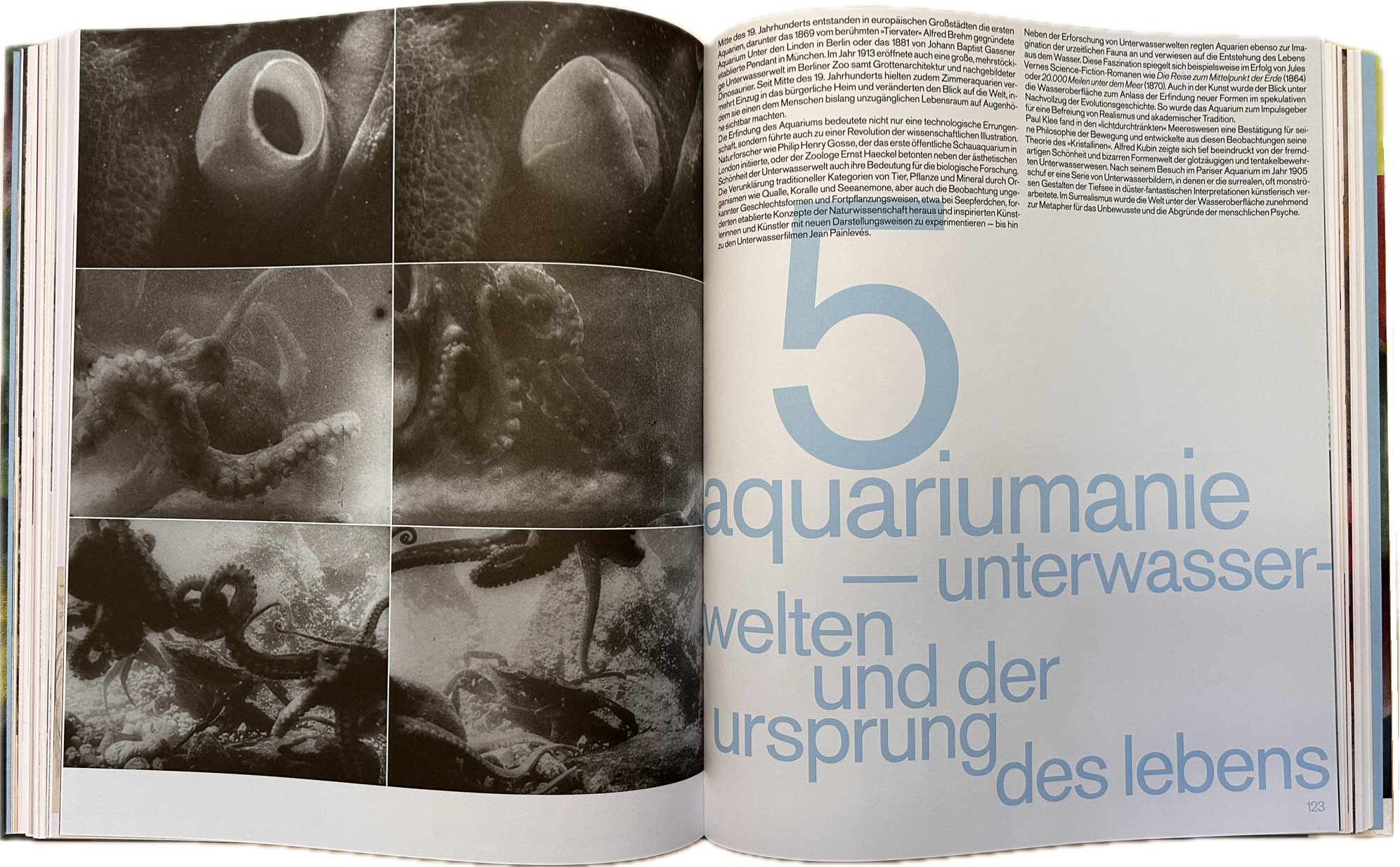 Die Moderne im Zoo