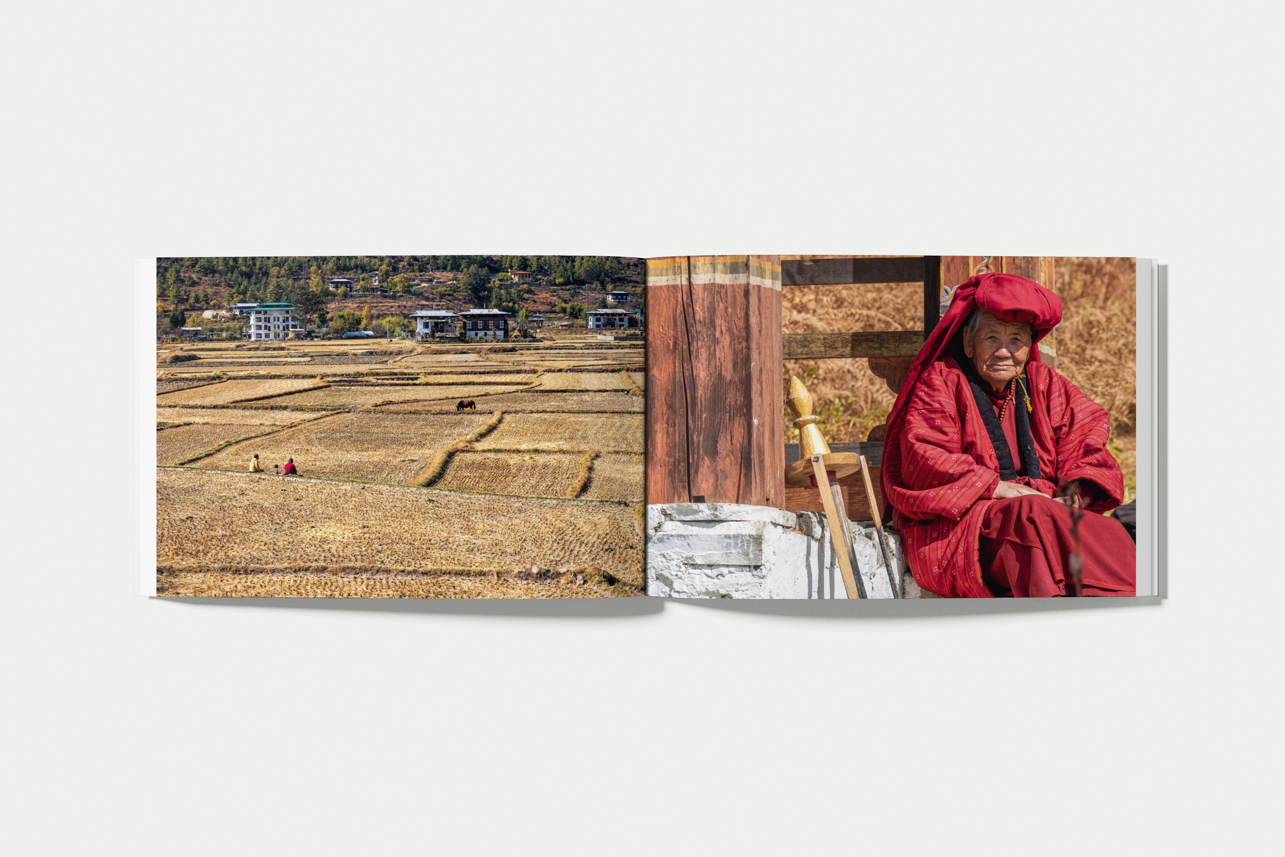 THE MONK AND THE TIGER. Postcards from Bhutan