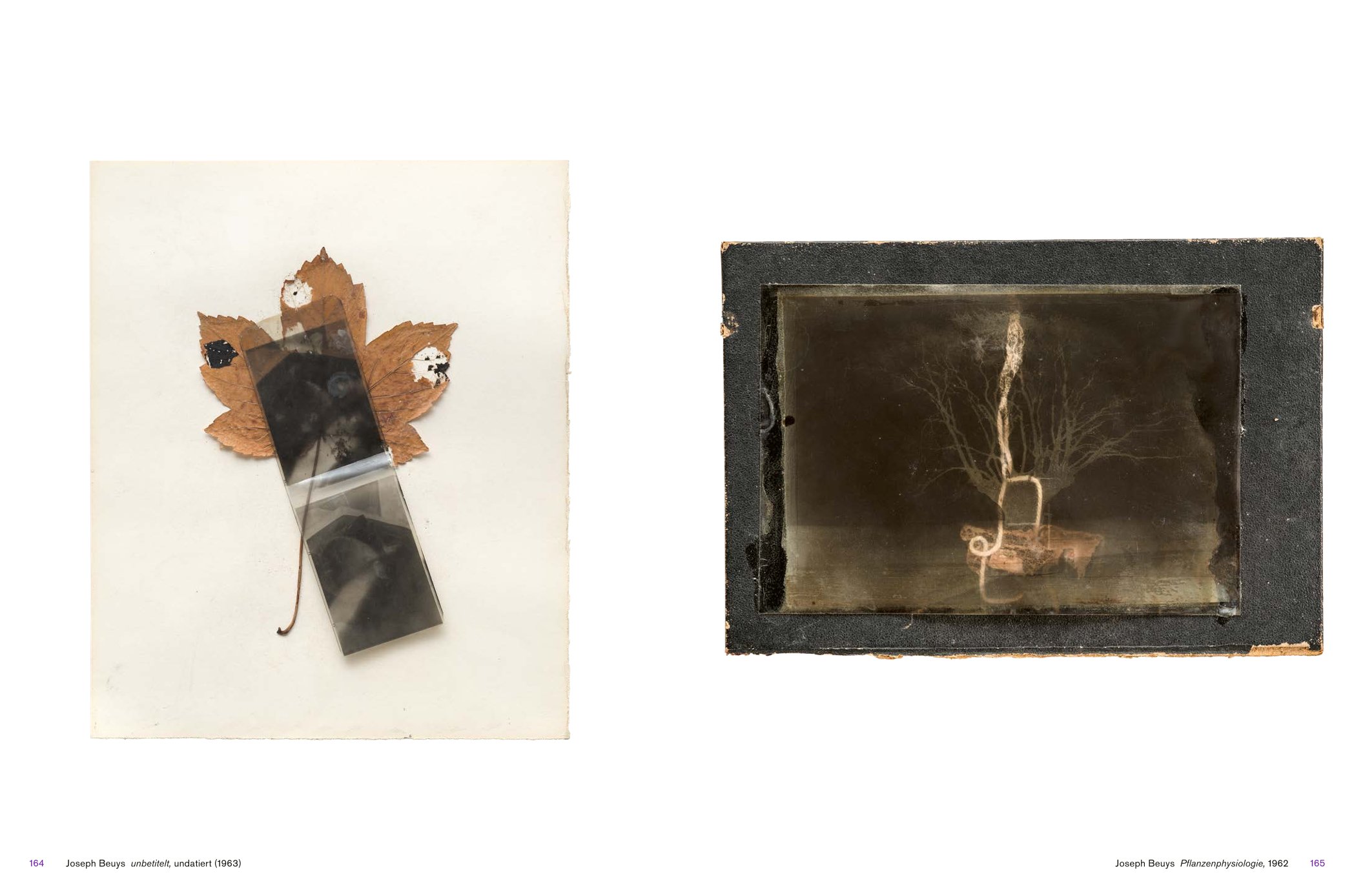 KATHARINA SIEVERDING IN DIALOGUE
WITH JOSEPH BEUYS
