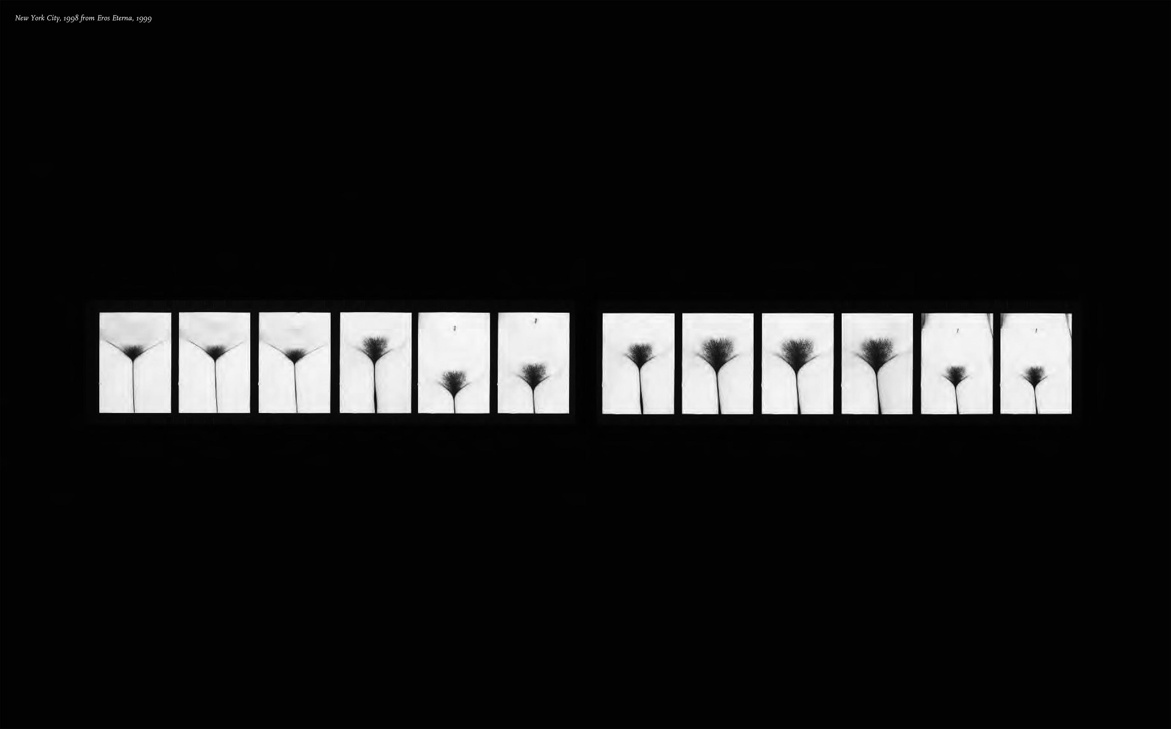 Abe Frajndlich - Seventy Five at Seventy Five