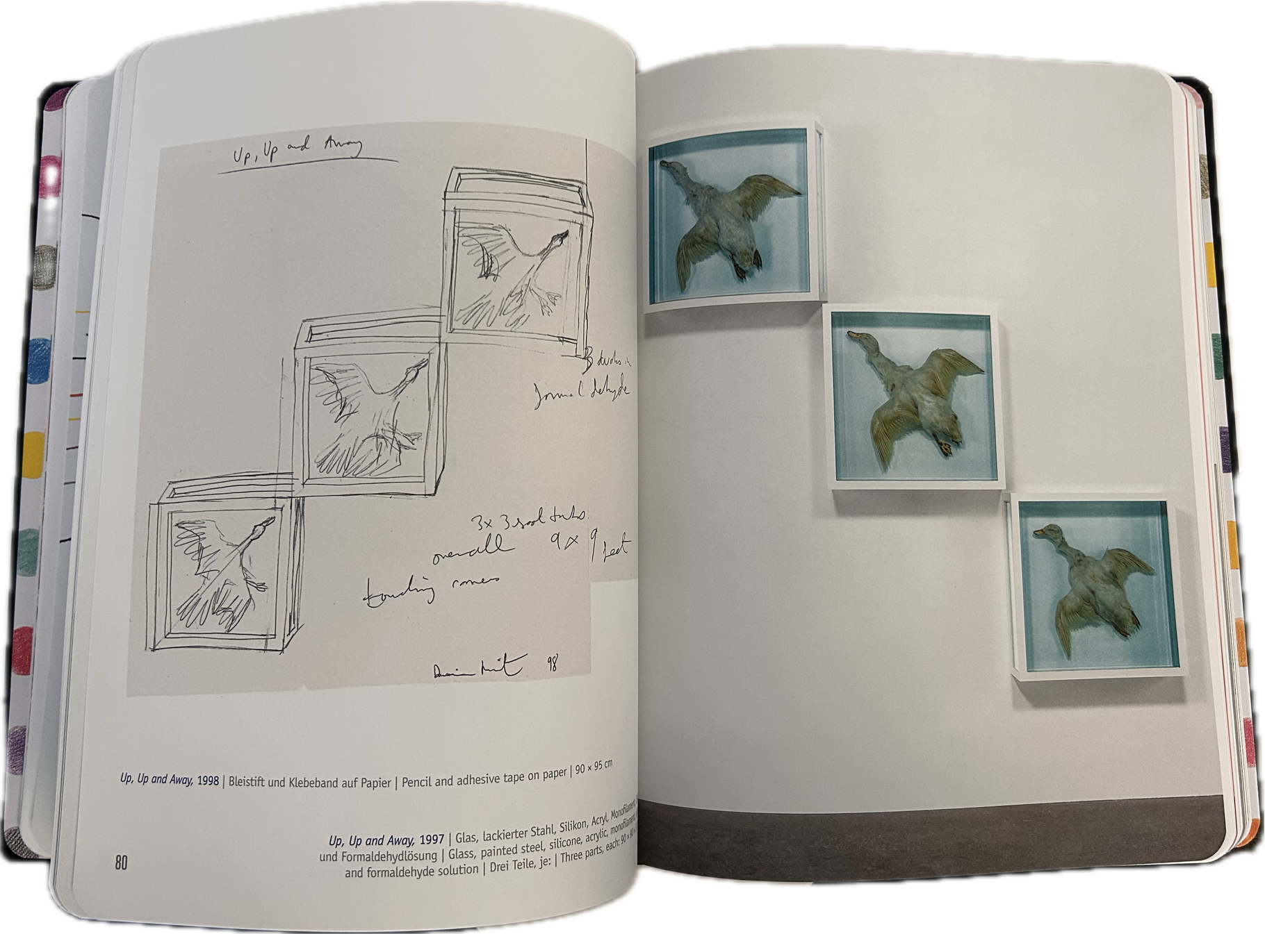 Damien Hirst – Drawings