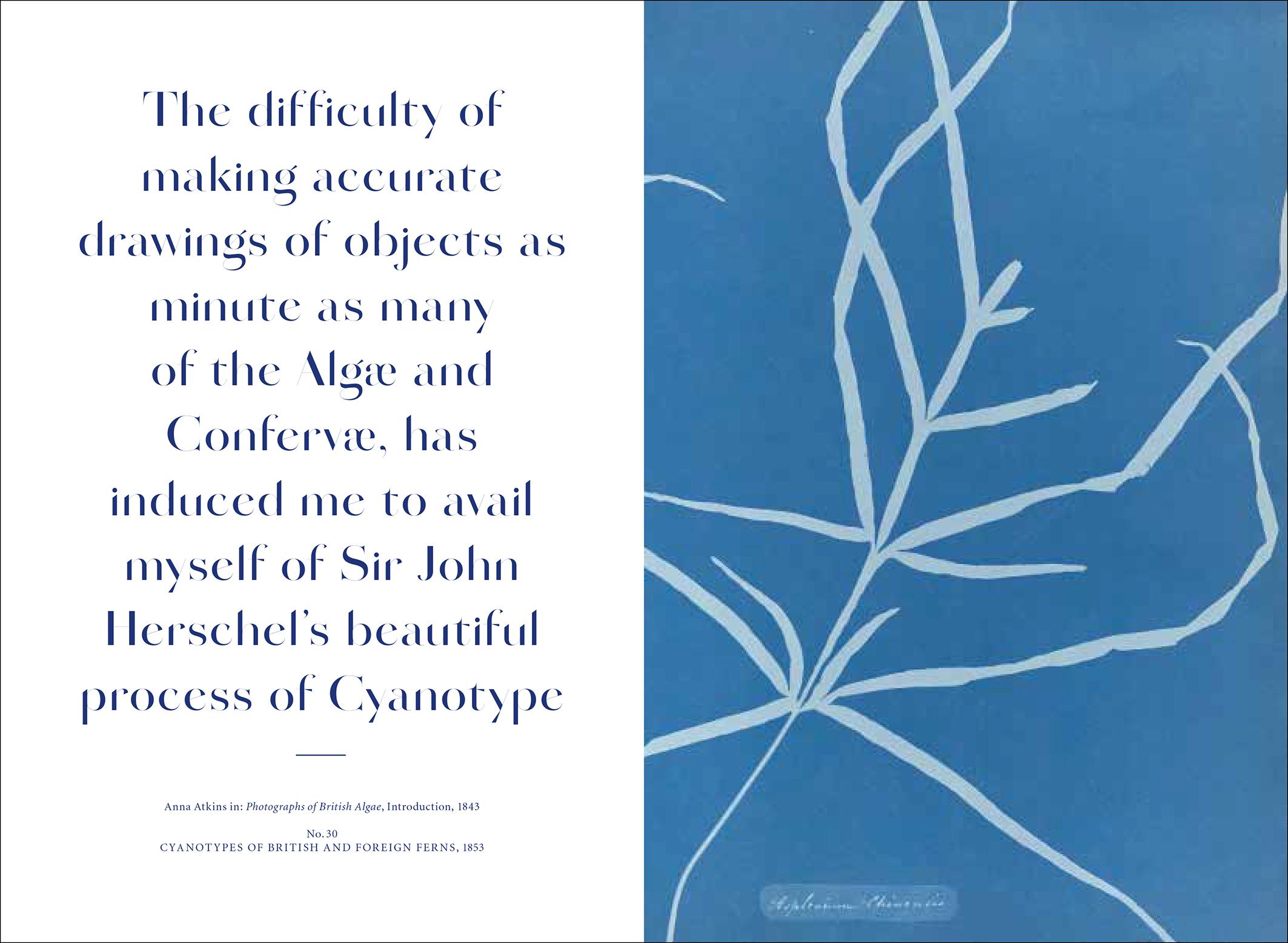 Anna Atkins